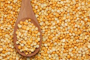 fava